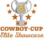Winter Lacrosse Tournaments